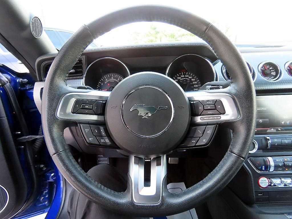 Ford Mustang - Vista 8