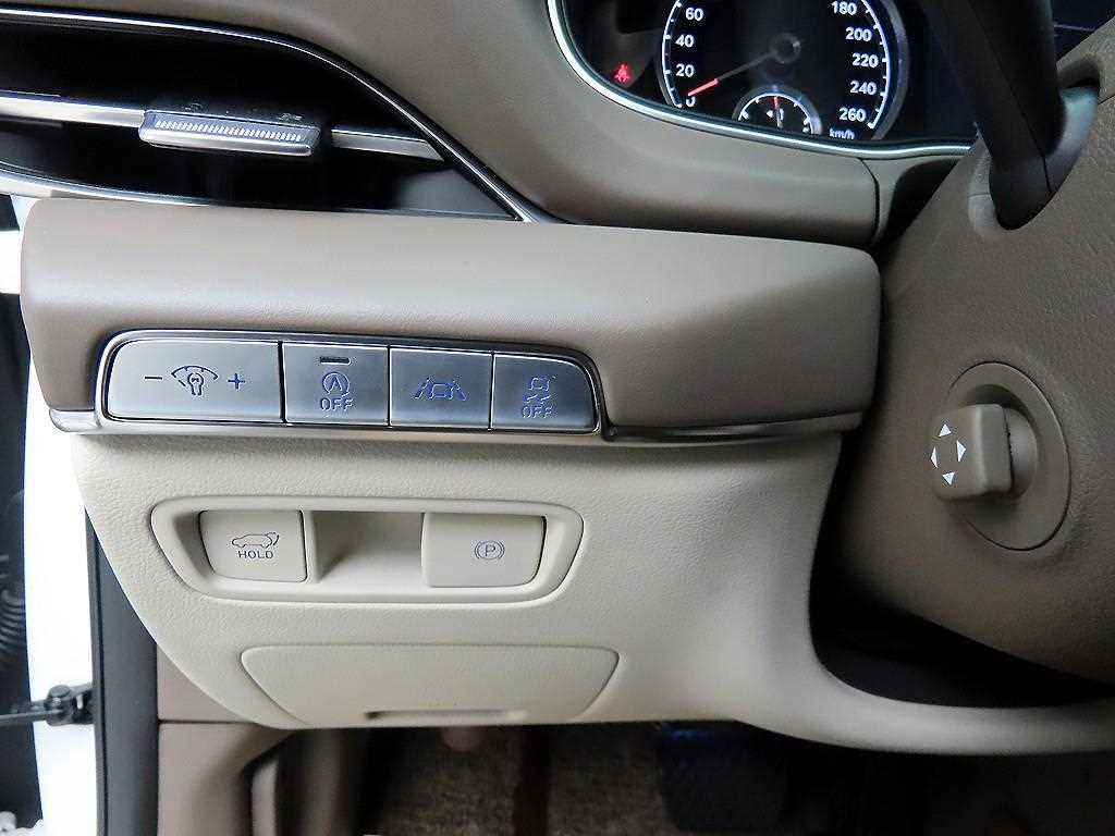 Genesis GV80 - Vista 12