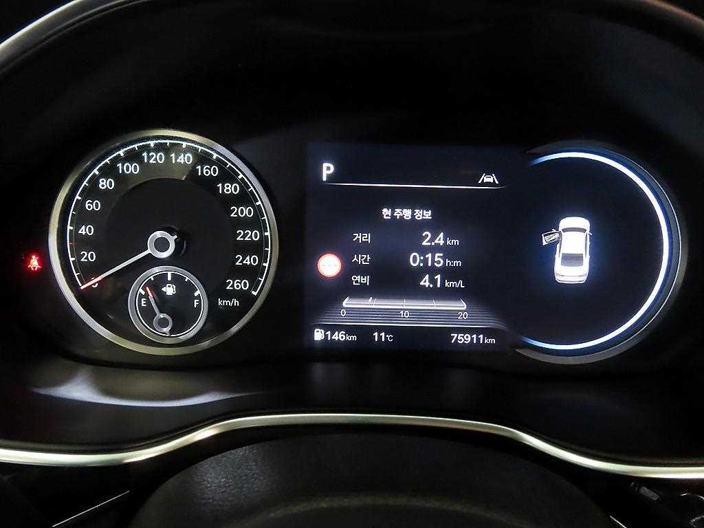 Genesis G80 - Vista 9