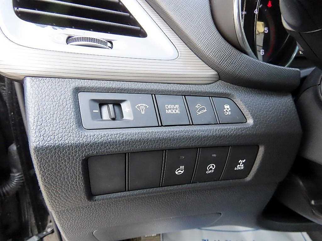 HYUNDAI Maxcruz - Vista 12