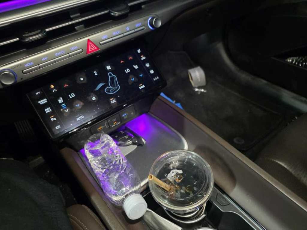 HYUNDAI Grandeur - Vista 6