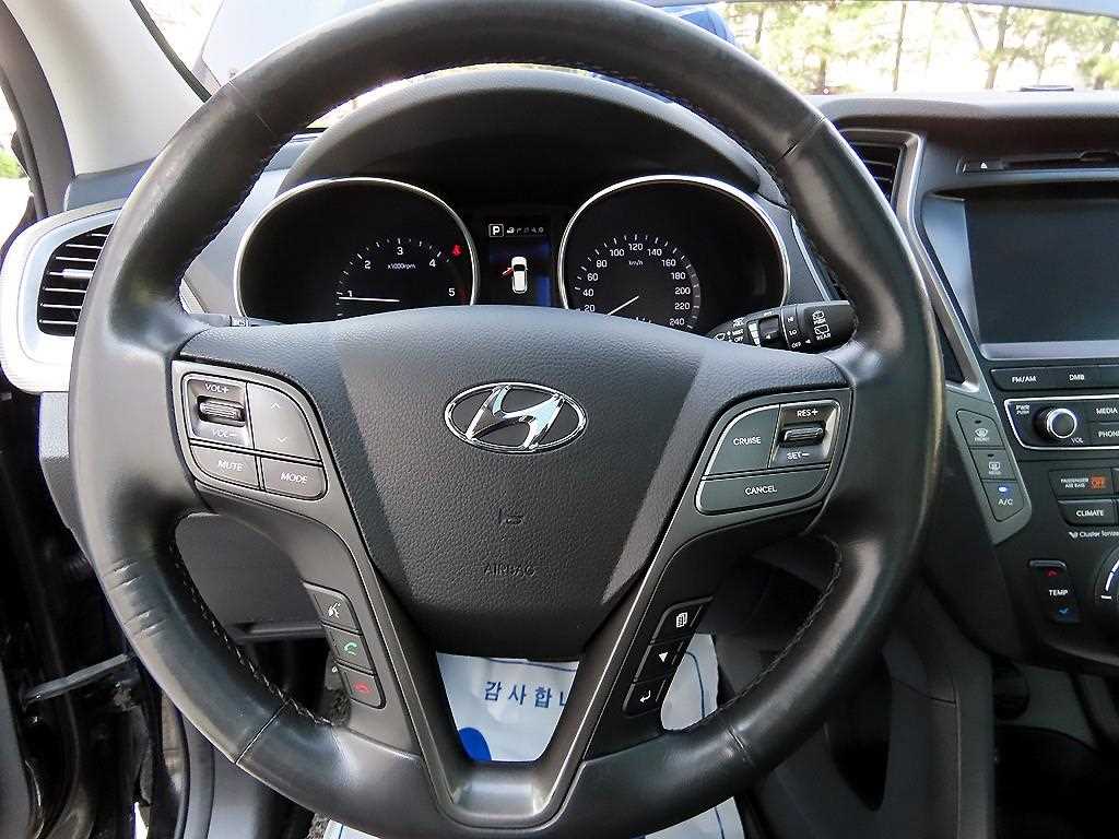 HYUNDAI Maxcruz - Vista 8