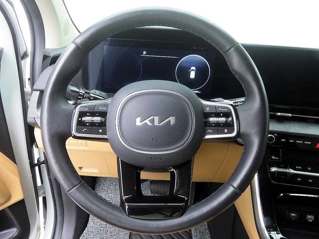 KIA Carnival - Vista 10