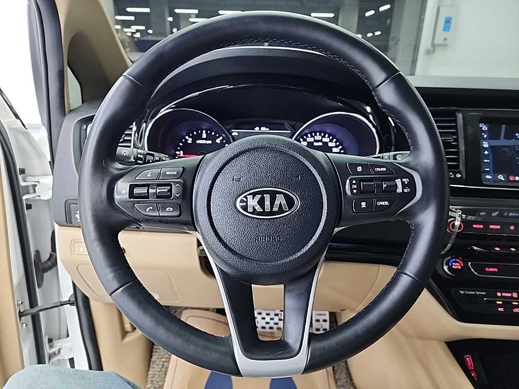 KIA Carnival - Vista 9
