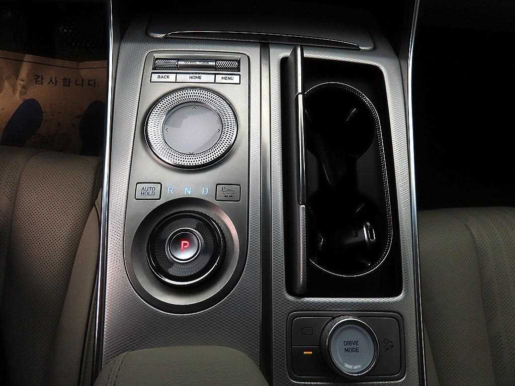 Genesis GV80 - Vista 10