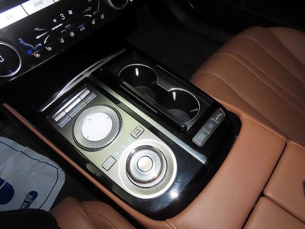 Genesis G80 - Vista 12