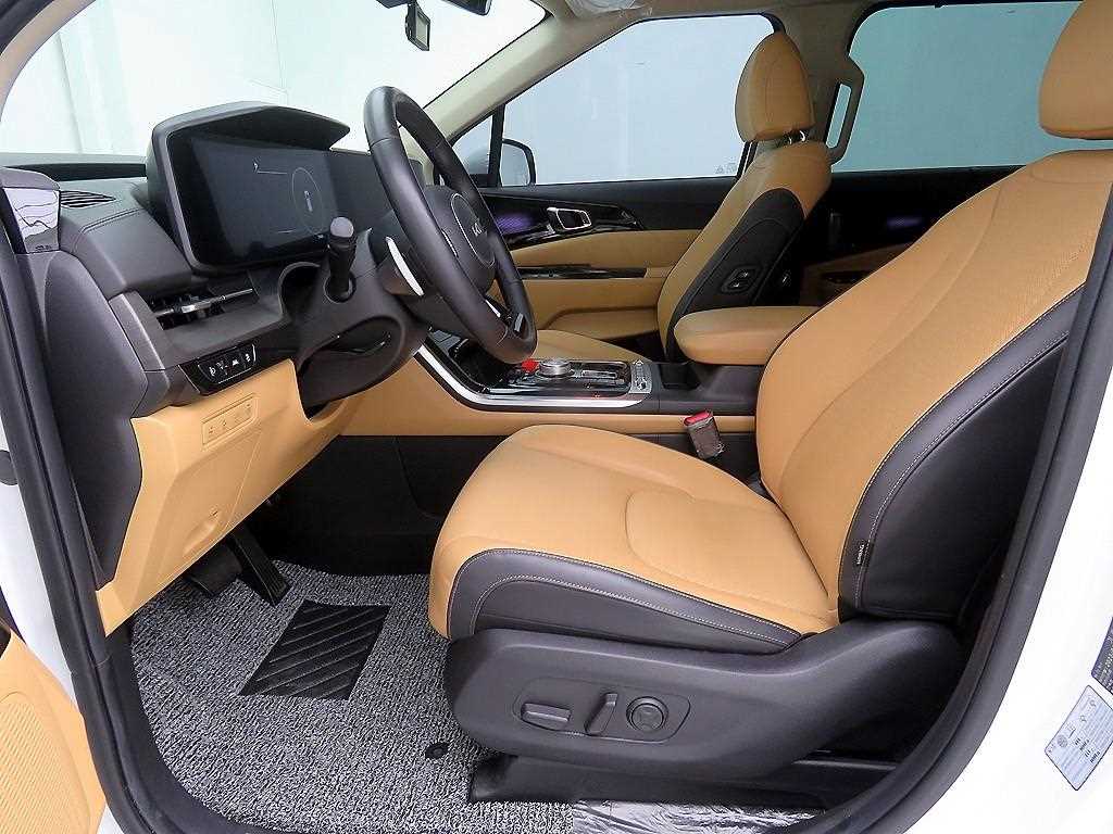 KIA Carnival - Vista 7