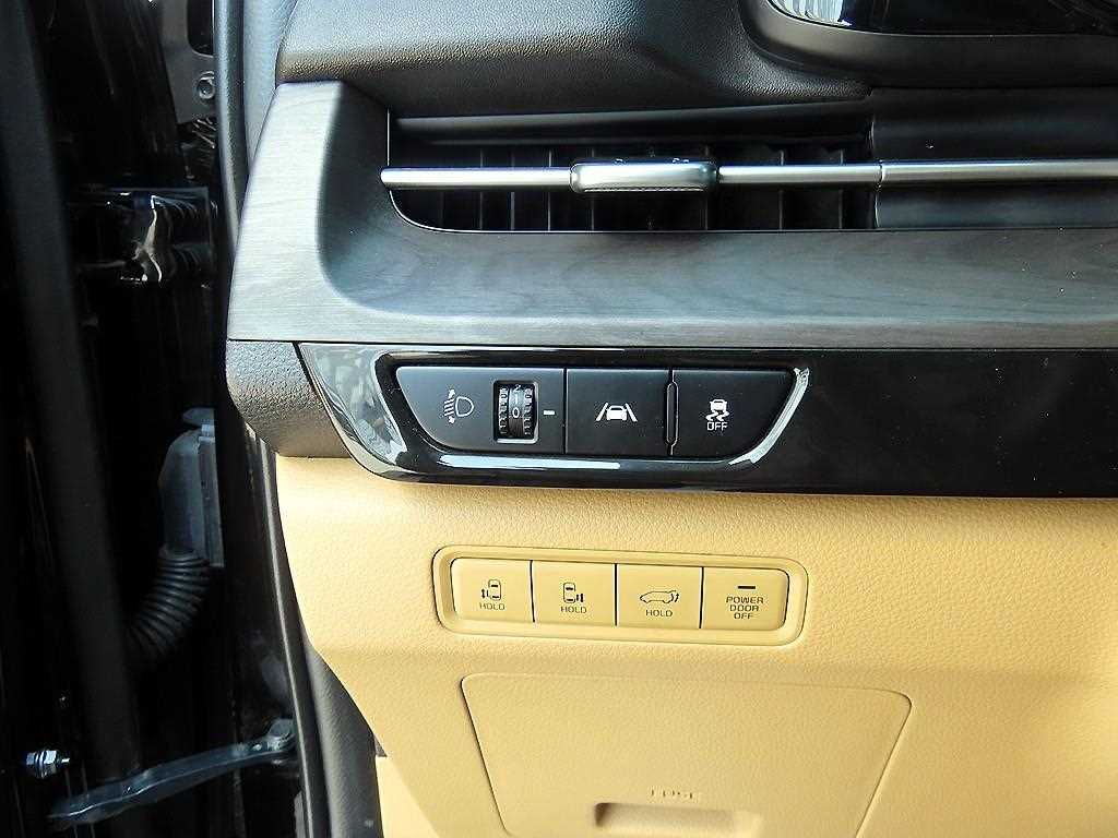 KIA Carnival - Vista 12