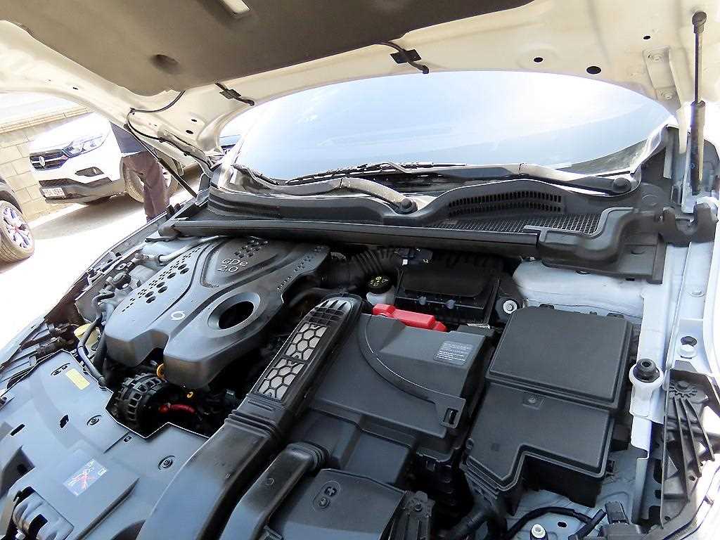 SAMSUNG SM6 2019 Blanco - Importación desde Corea - HF Imports Iquique - Foto 19