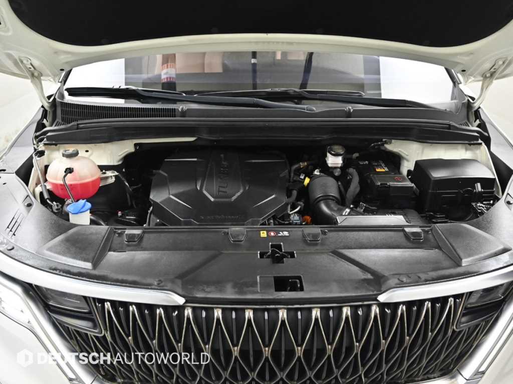 KIA Carnival - Vista 7