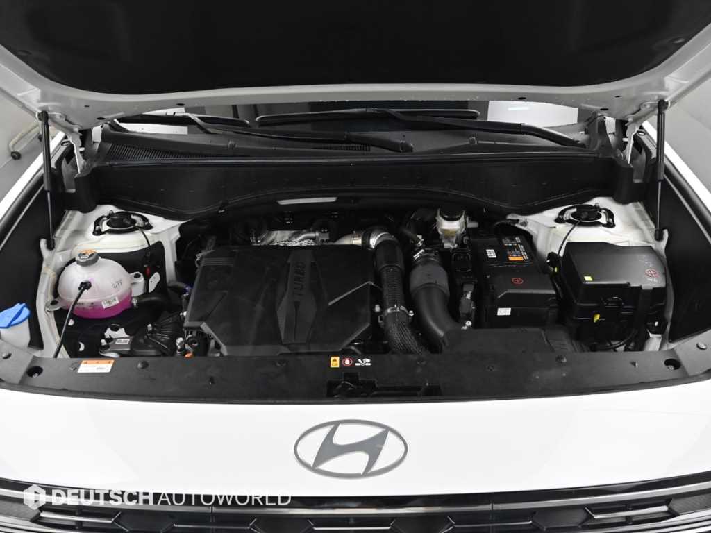 HYUNDAI Palisade - Vista 6