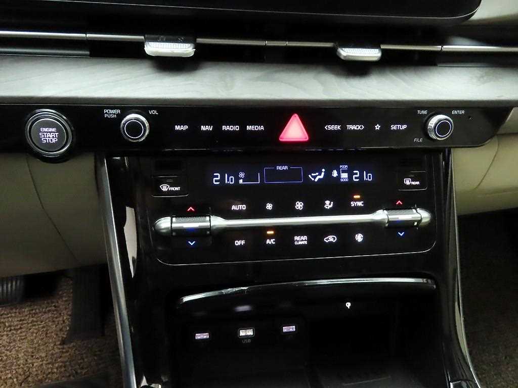 KIA Carnival - Vista 10