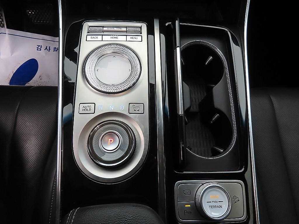 Genesis GV80 - Vista 10