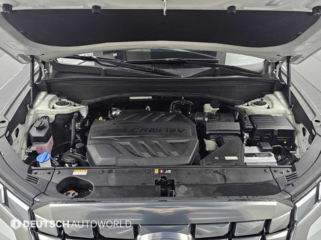 HYUNDAI Palisade - Vista 6