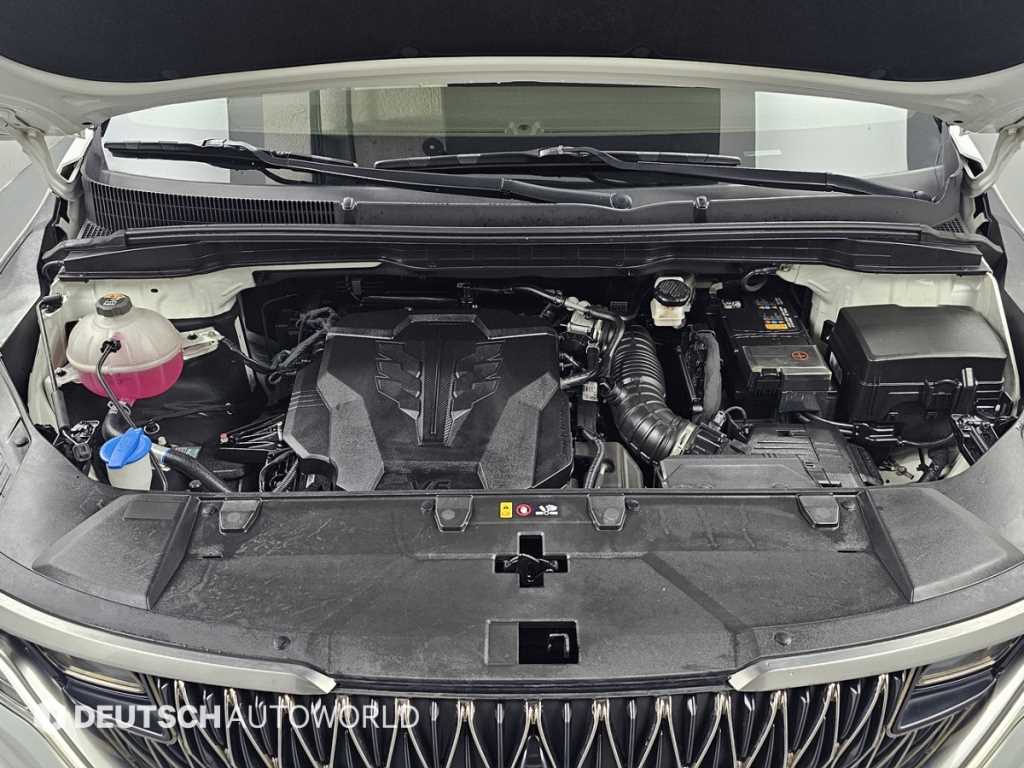 KIA Carnival - Vista 6