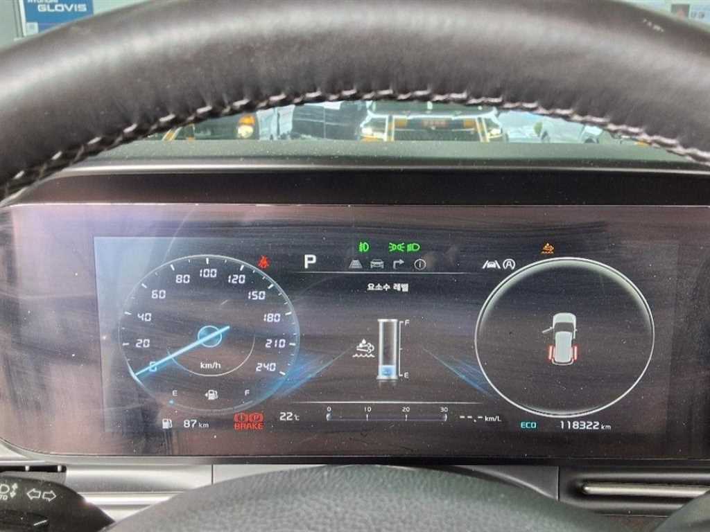 KIA Carnival - Vista 12