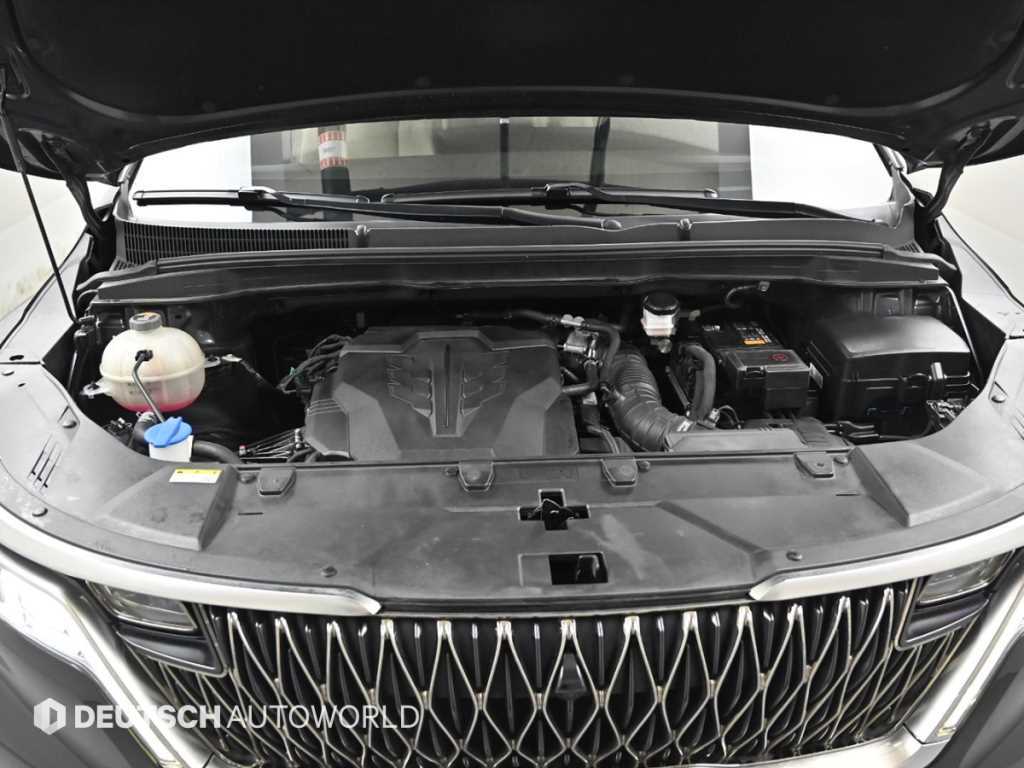 KIA Carnival - Vista 6