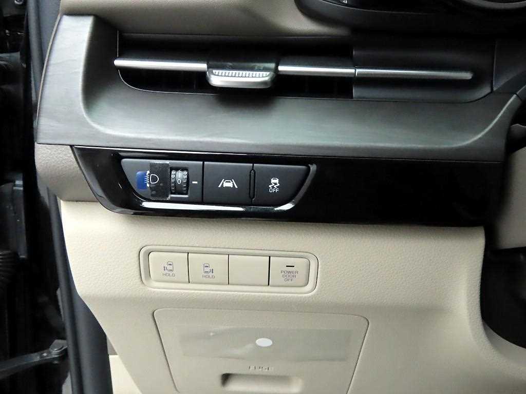 KIA Carnival - Vista 12