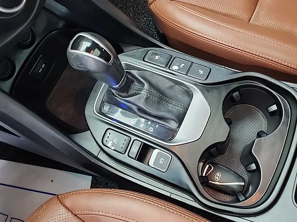 HYUNDAI Maxcruz - Vista 8