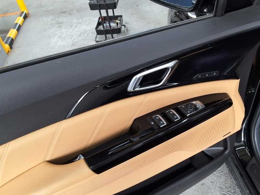 KIA Carnival - Vista 10