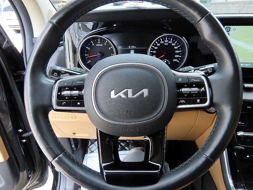 KIA Carnival - Vista 8