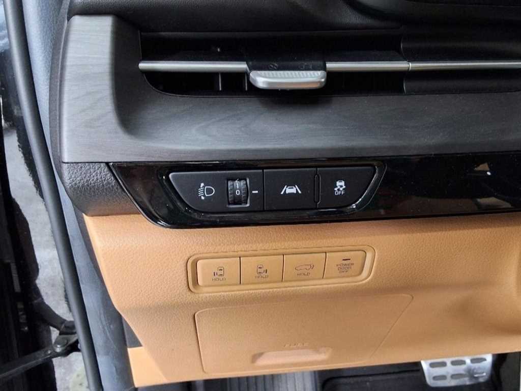 KIA Carnival - Vista 11