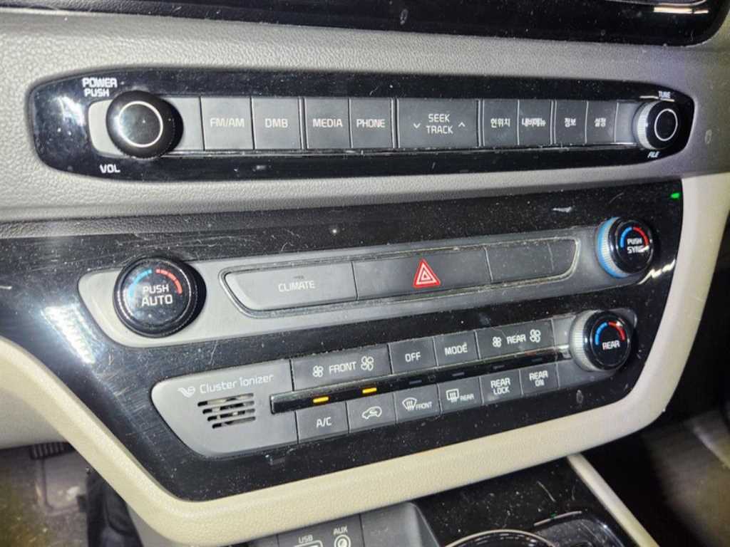 KIA Carnival - Vista 7