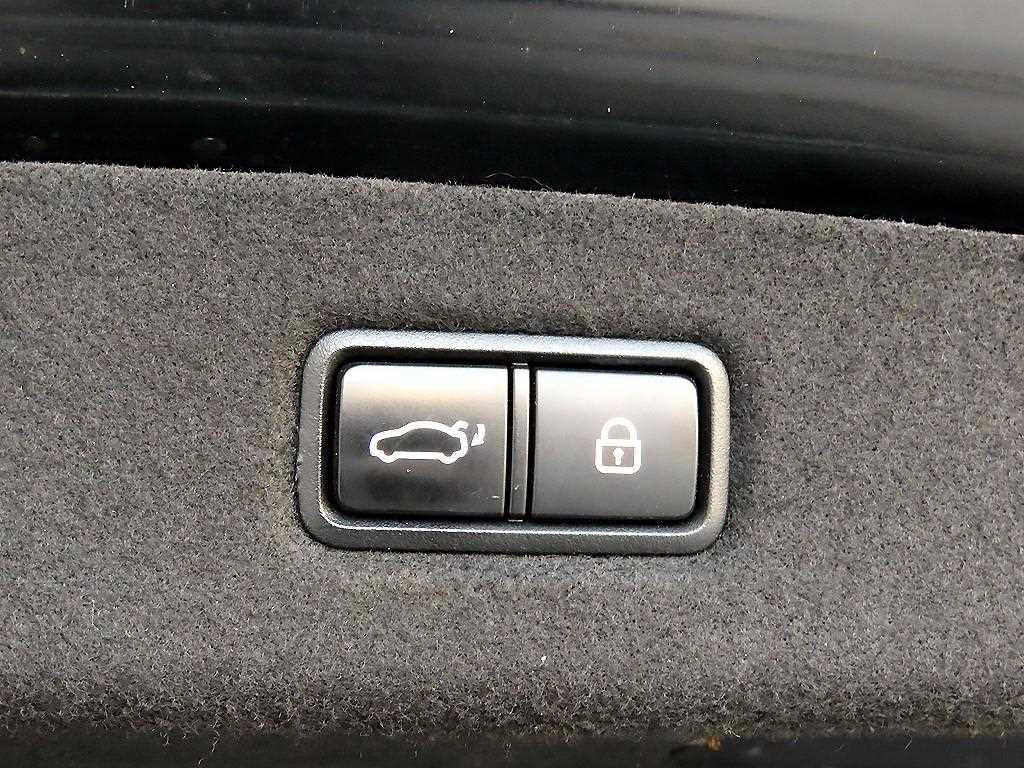 Genesis EQ900 2016 Gris - Importación desde Corea - HF Imports Iquique - Foto 16