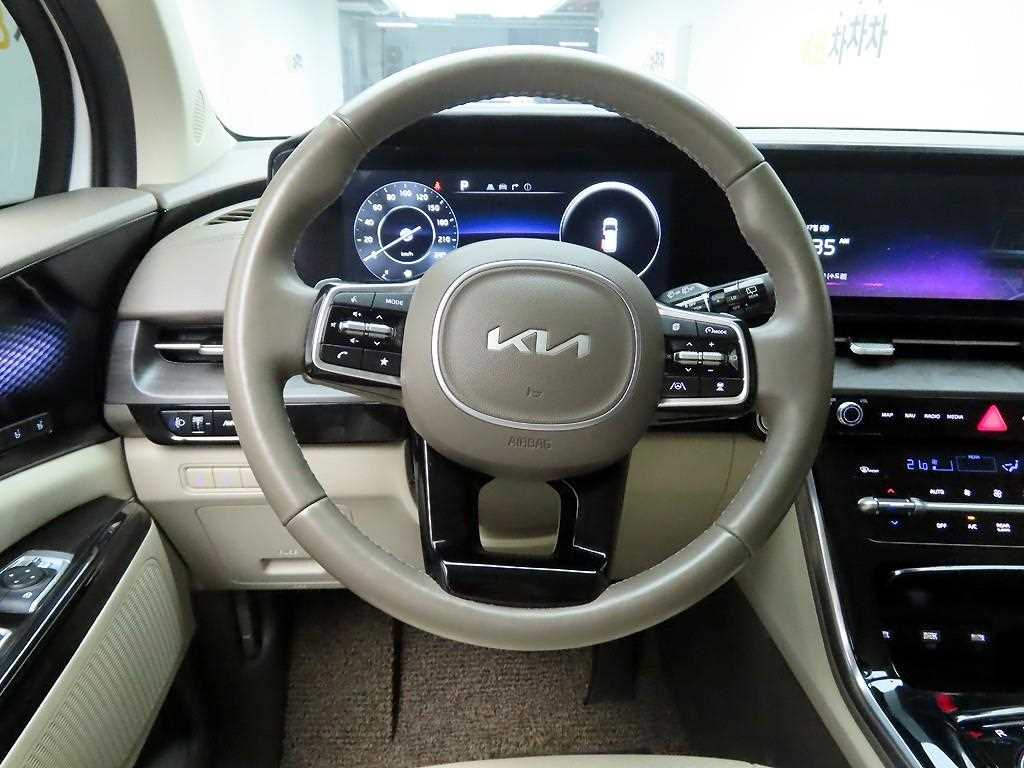 KIA Carnival - Vista 8