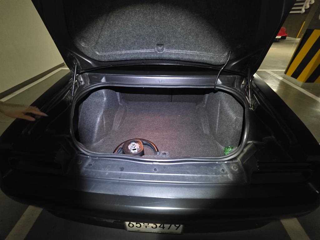DODGE Challenger - Vista 9