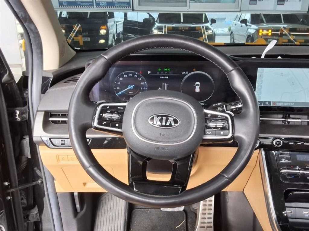KIA Carnival - Vista 8