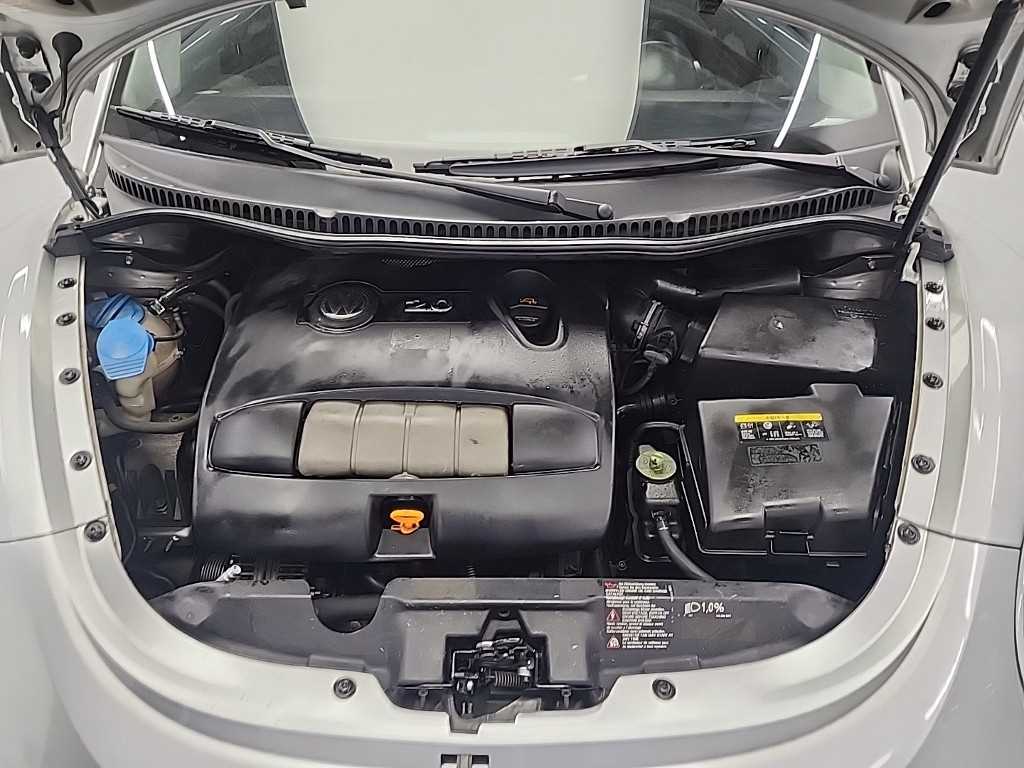 Volkswagen Beetle - Vista 5