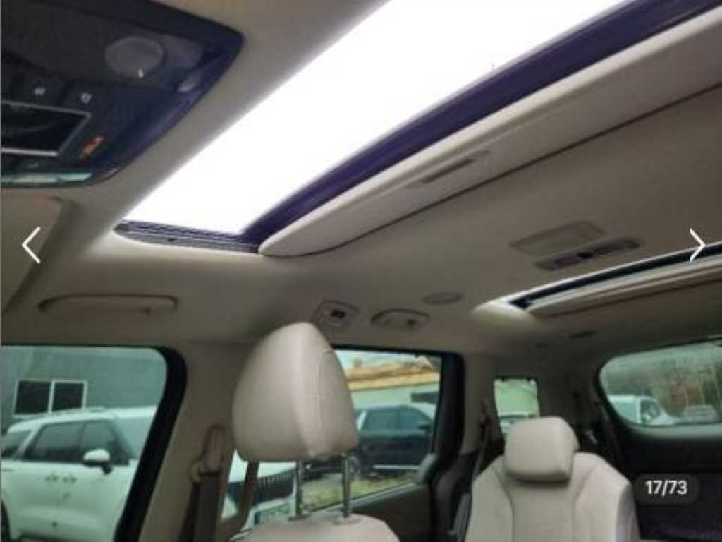 KIA Carnival - Vista 8