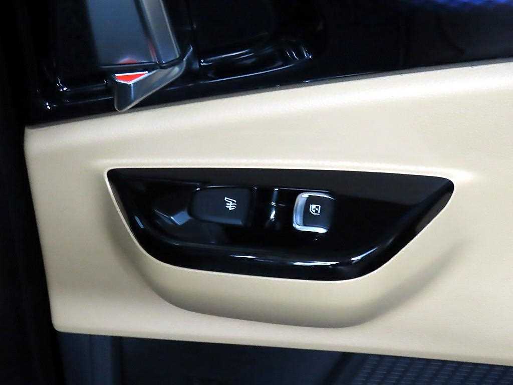 KIA Carnival - Vista 12