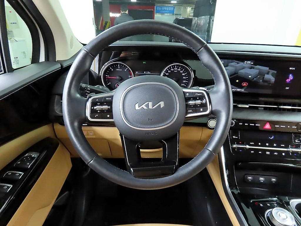 KIA Carnival - Vista 9