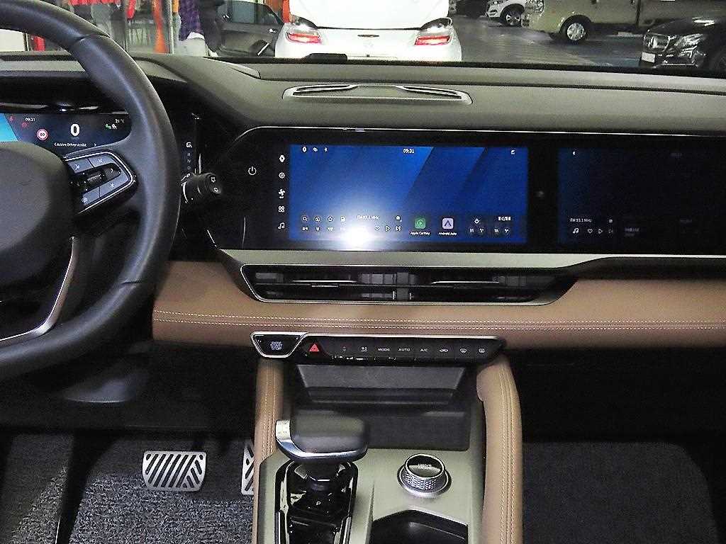 SAMSUNG Grand Koleos - Vista 11