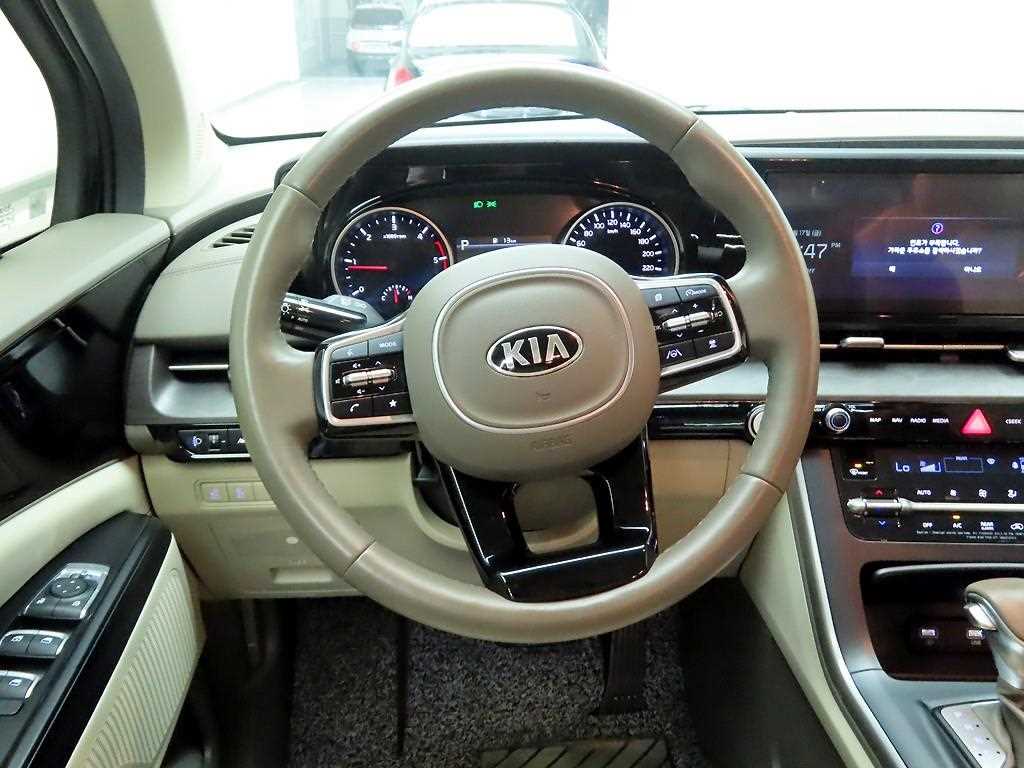 KIA Carnival - Vista 7