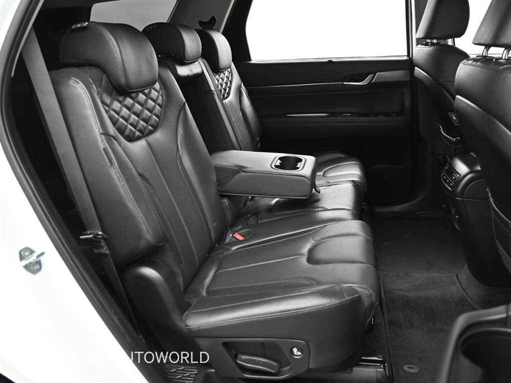 HYUNDAI Palisade - Vista 12