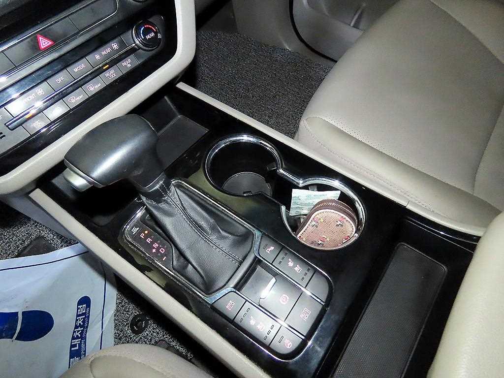 KIA Carnival - Vista 12