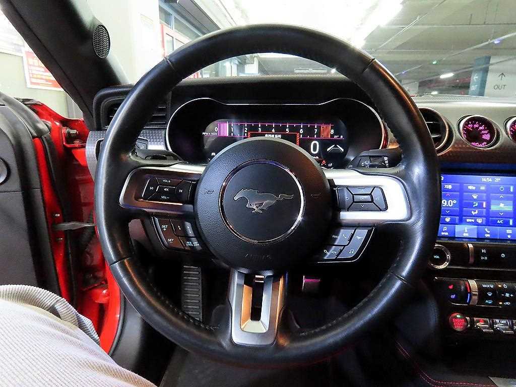 Ford Mustang - Vista 11