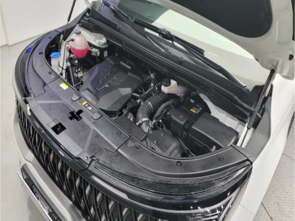 KIA Carnival - Vista 6