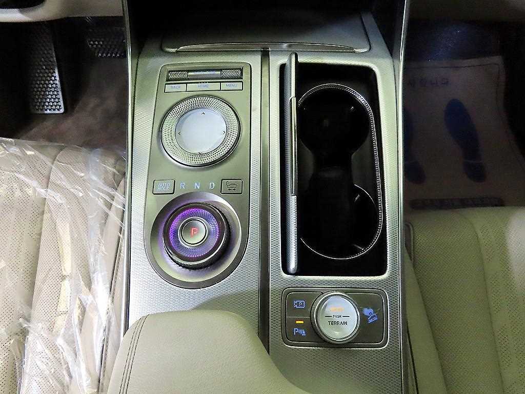 Genesis GV80 - Vista 12