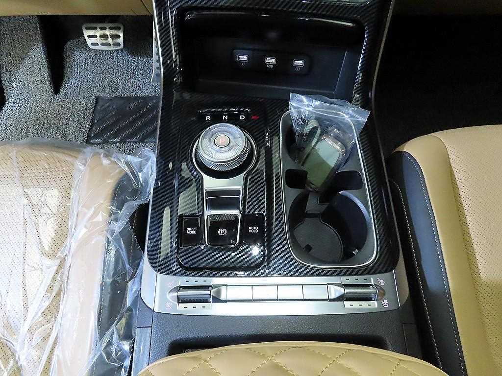 KIA Carnival - Vista 12