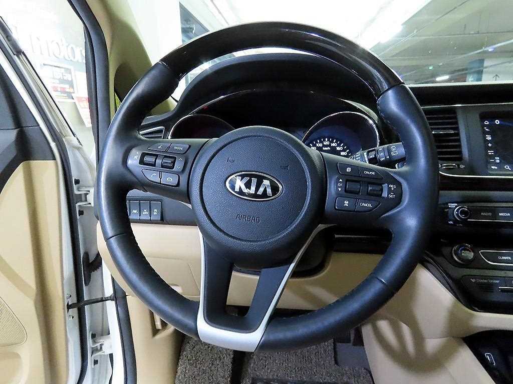 KIA Carnival - Vista 8