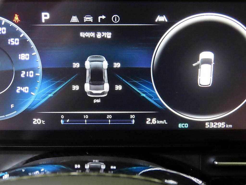 KIA Carnival - Vista 9