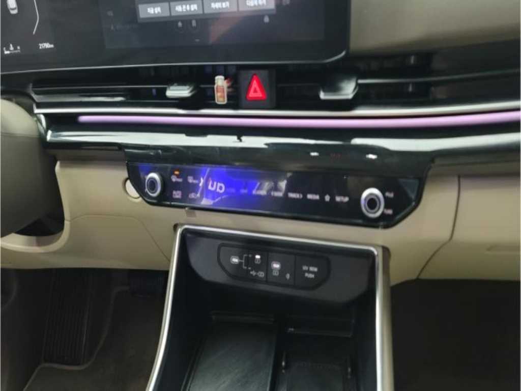 KIA Carnival - Vista 10