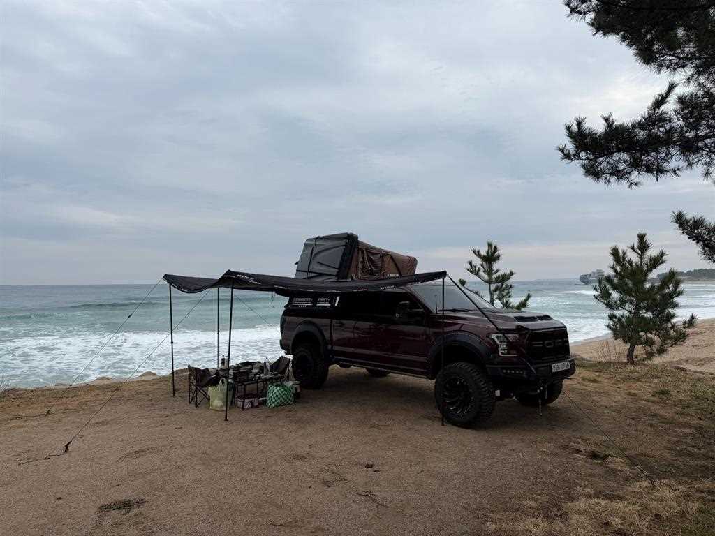 Ford F-Series 2015 Café - Importación desde Corea - HF Imports Iquique - Foto 19