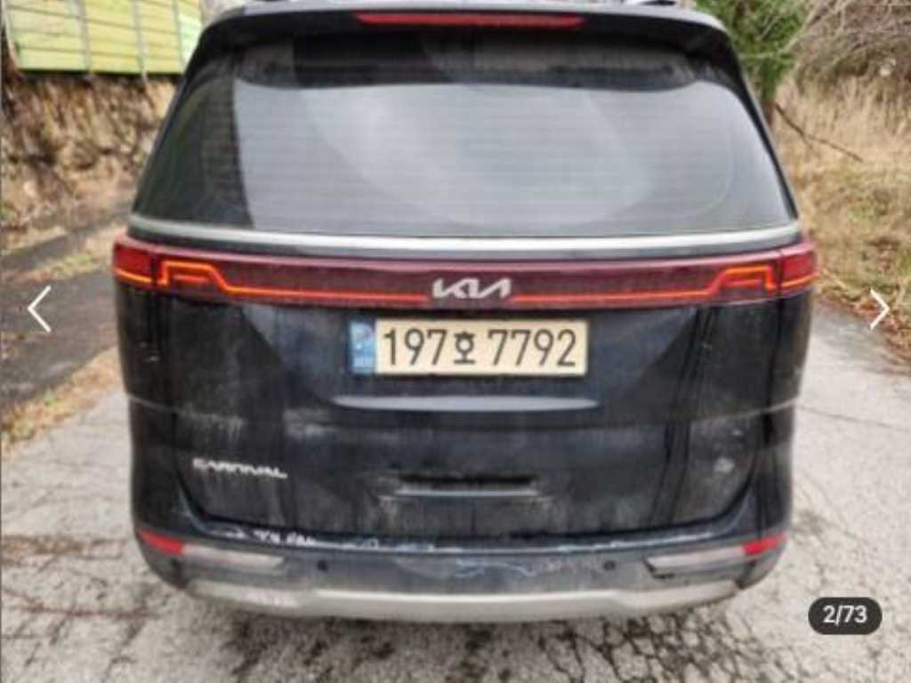 KIA Carnival - Vista 2