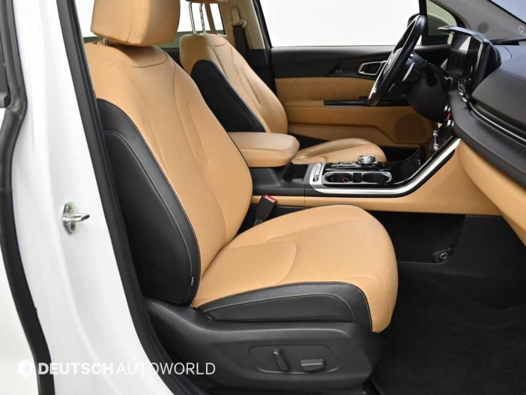 KIA Carnival - Vista 12