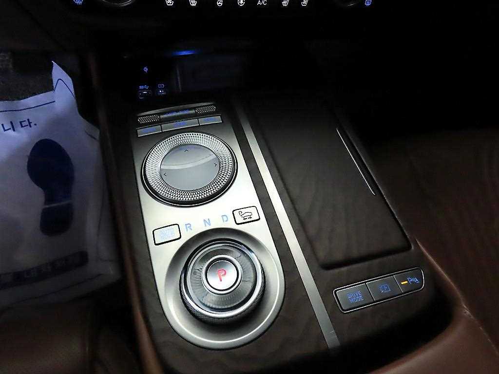 Genesis G80 - Vista 12